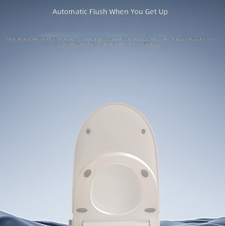 Heated Smart Toilet Seat, Auto - Home Bathroom 评论和价格